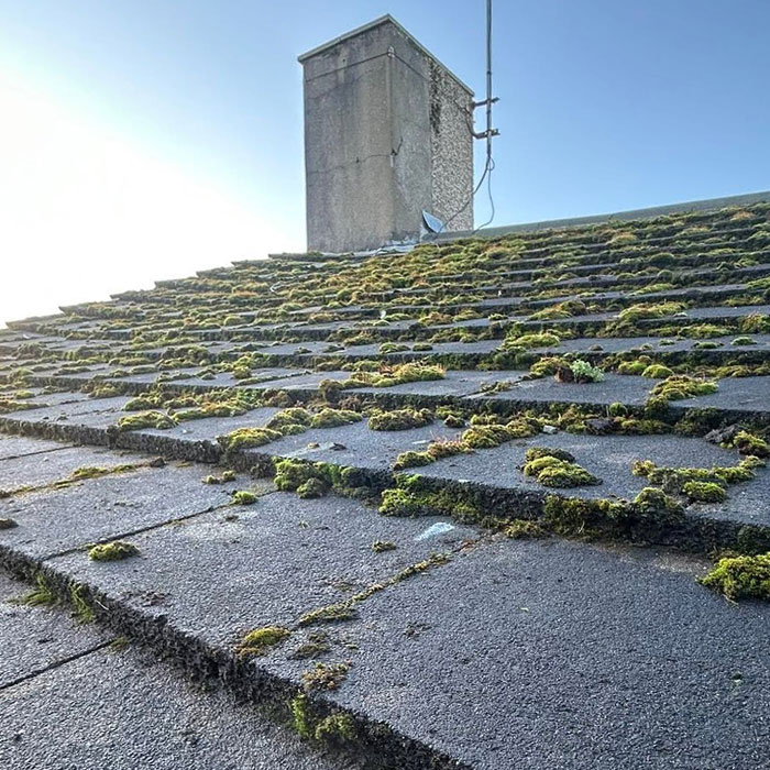 Pressure Washing Andy roof before clean