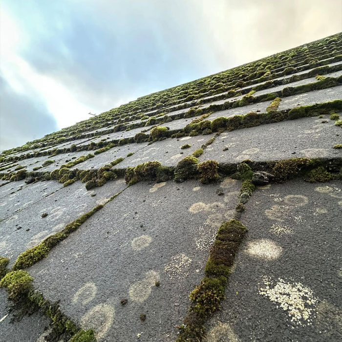 Pressure Washing Andy roof before scrape